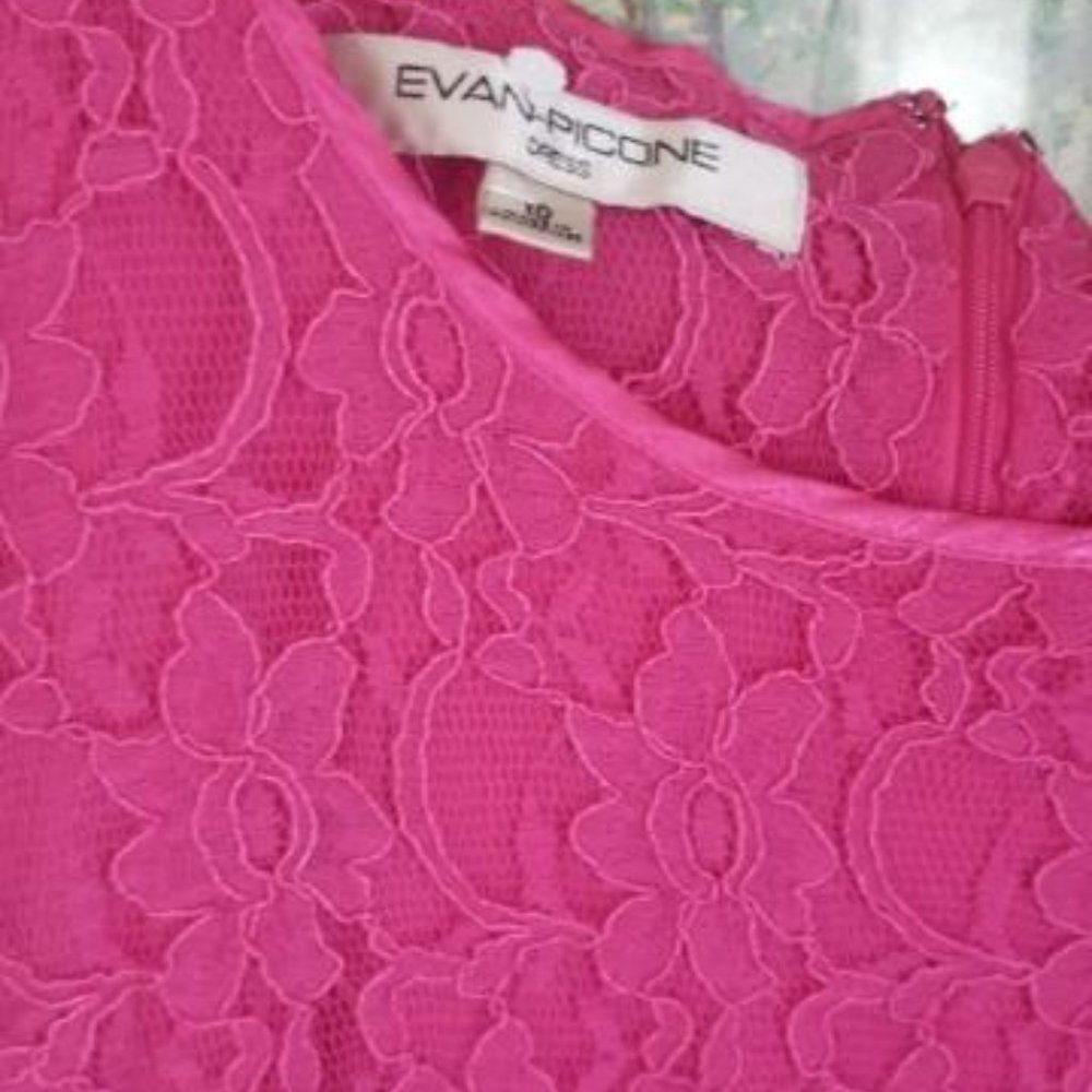 Evan Picole Women's Lace Midi Sleveless Size 10 Dress - Picture 3 of 4